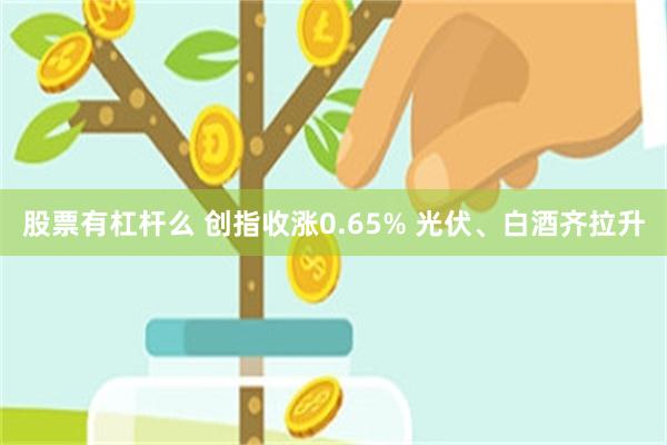 股票有杠杆么 创指收涨0.65% 光伏、白酒齐拉升