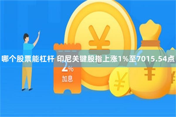 哪个股票能杠杆 印尼关键股指上涨1%至7015.54点