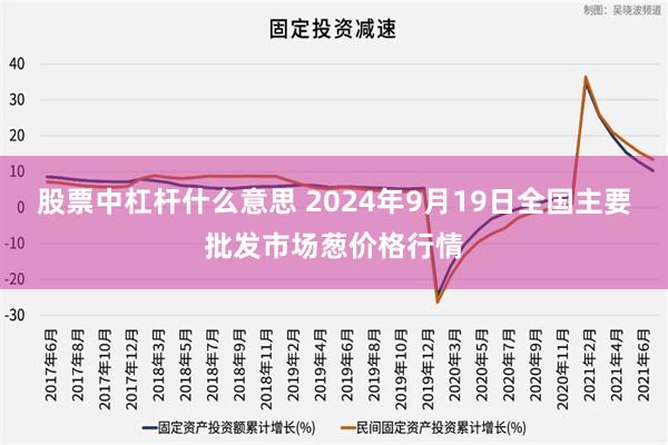 股票中杠杆什么意思 2024年9月19日全国主要批发市场葱价格行情