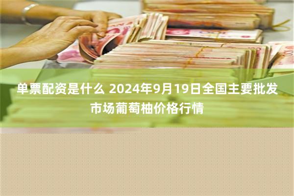 单票配资是什么 2024年9月19日全国主要批发市场葡萄柚价格行情