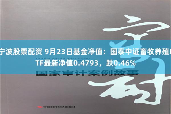 宁波股票配资 9月23日基金净值：国泰中证畜牧养殖ETF最新净值0.4793，跌0.46%