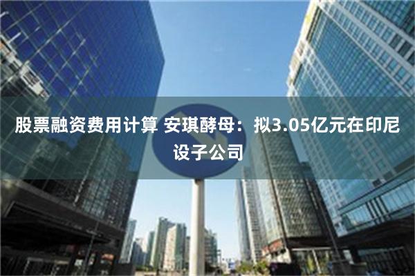 股票融资费用计算 安琪酵母：拟3.05亿元在印尼设子公司