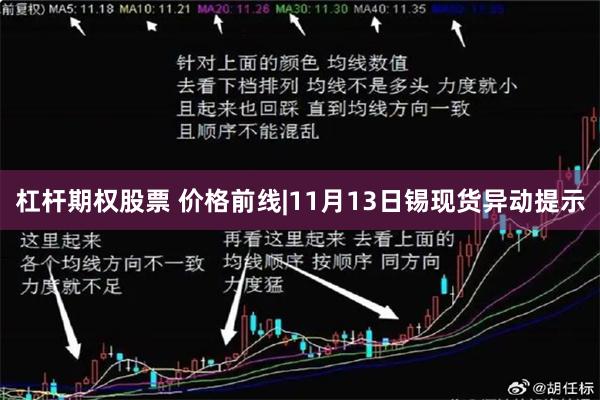 杠杆期权股票 价格前线|11月13日锡现货异动提示