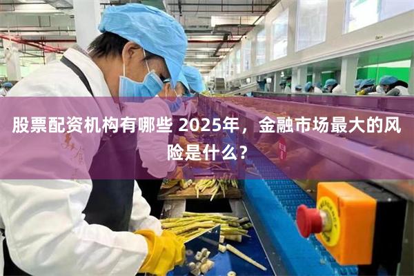 股票配资机构有哪些 2025年，金融市场最大的风险是什么？