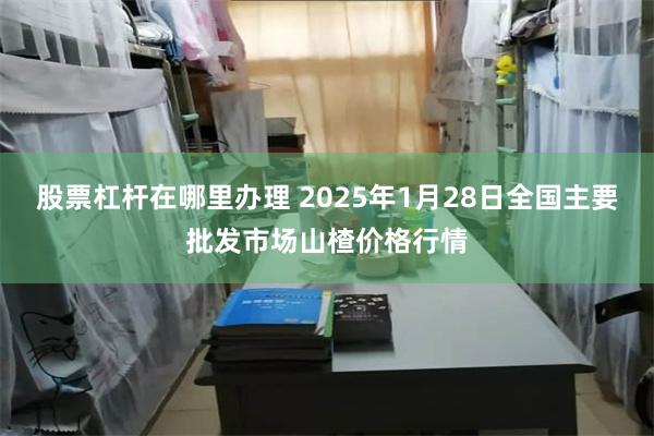 股票杠杆在哪里办理 2025年1月28日全国主要批发市场山楂价格行情