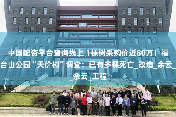 中国配资平台查询线上 1棵树采购价近80万！福州烟台山公园“天价树”调查：已有多棵死亡_改造_余云_工程
